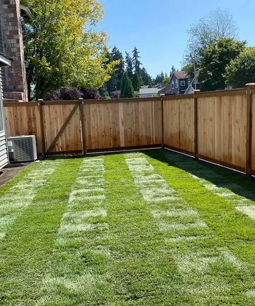 Wood Fence Installation in Issaquah 